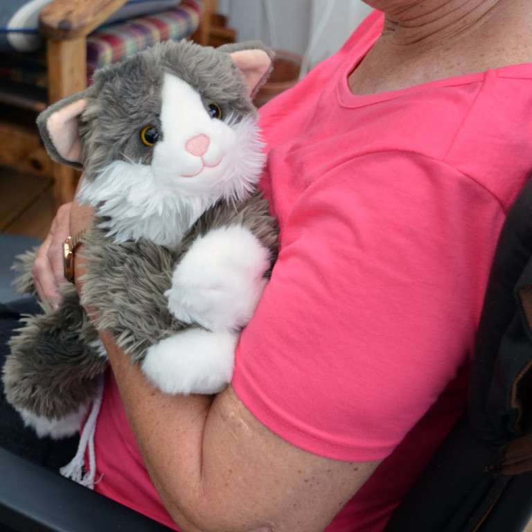 Katten Smulan med värmekudde