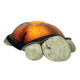 Lysande sköldpadda Lysande sköldpadda