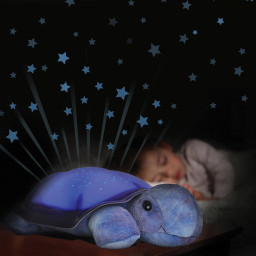 Lysande sköldpadda Lysande sköldpadda