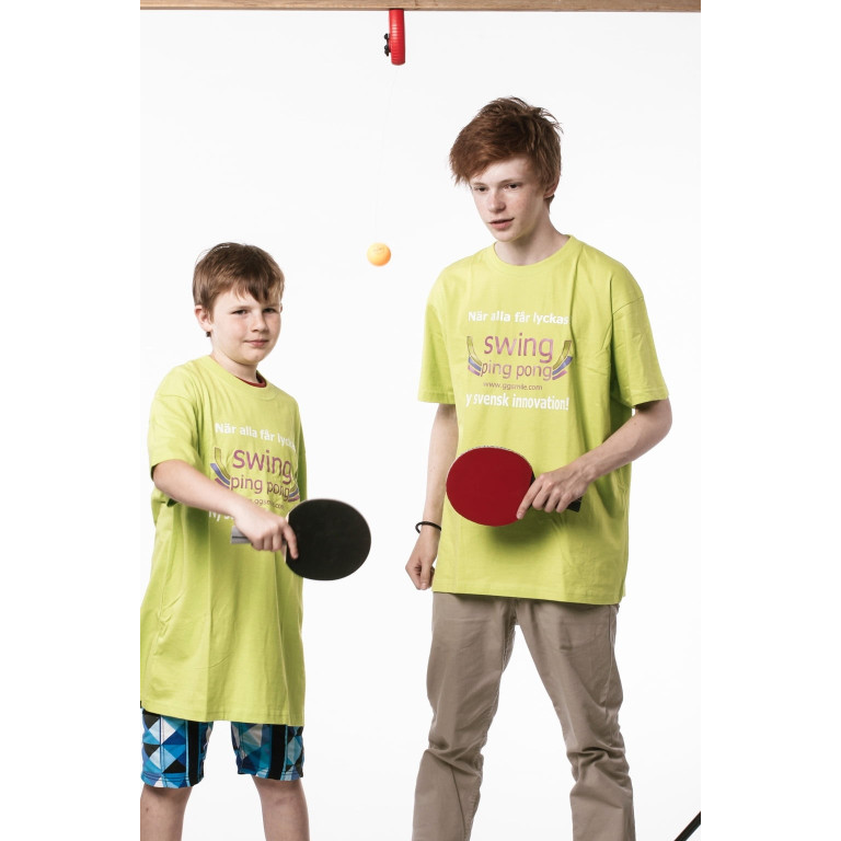 Swing Ping Pong
