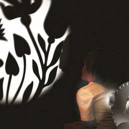 Effekthjul till Spaceprojektor - "Blommor" inkl 4 färger Effekthjul till Spaceprojektor - "Blommor" inkl 4 färger