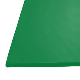 Golvmadrass, 200*100*10cm, Grön Golvmadrass, 200*100*10cm, Grön