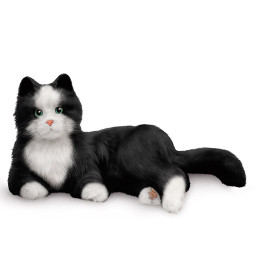 Terapikatt svart/vit Terapikatt svart/vit