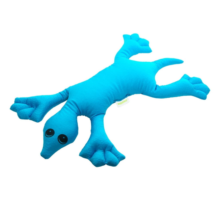 Tyngddjur Sköldpadda, 2 kg