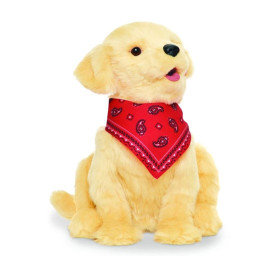 Terapihund Golden Retriever Terapihund Golden Retriever