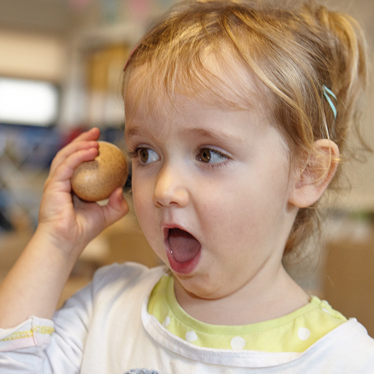 Sensoriska ljudägg, 6-pack