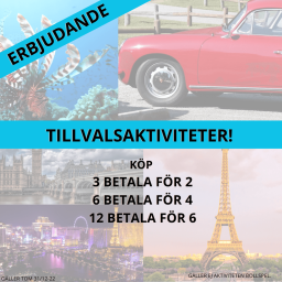 KomiAktiv Tillvalsaktivitet, London