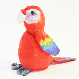 Härmande papegoja Härmande papegoja