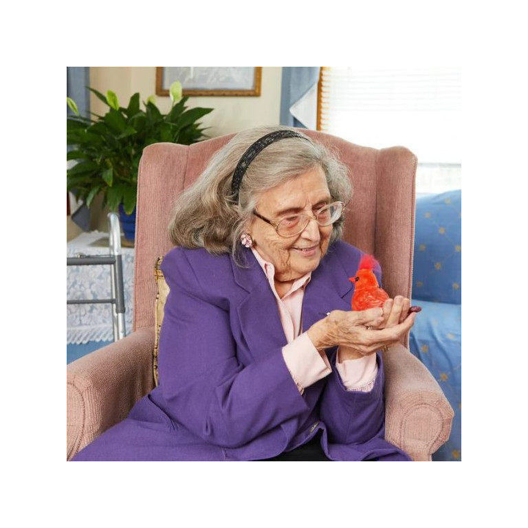 Terapifågel Walker Squawker Cardinal