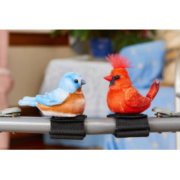 Terapifågel Walker Squawker Bluebird Terapifågel Walker Squawker Bluebird