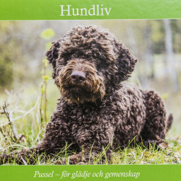 Träpussel Hundliv, 30 bitar