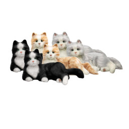 Terapikatt 6-pack