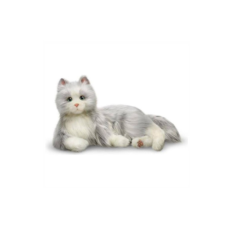 Terapikatt 6-pack