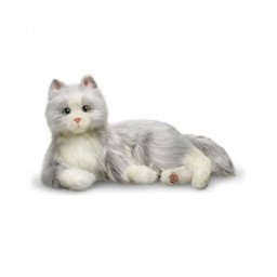 Terapikatt 6-pack