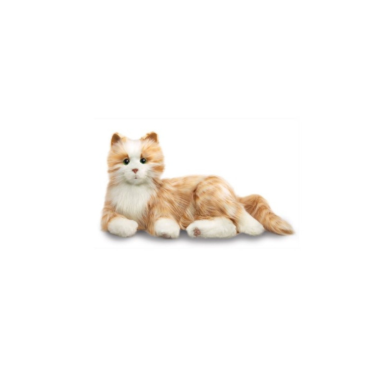 Terapikatt 6-pack