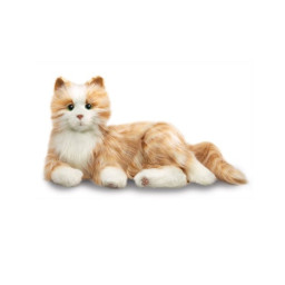 Terapikatt 6-pack