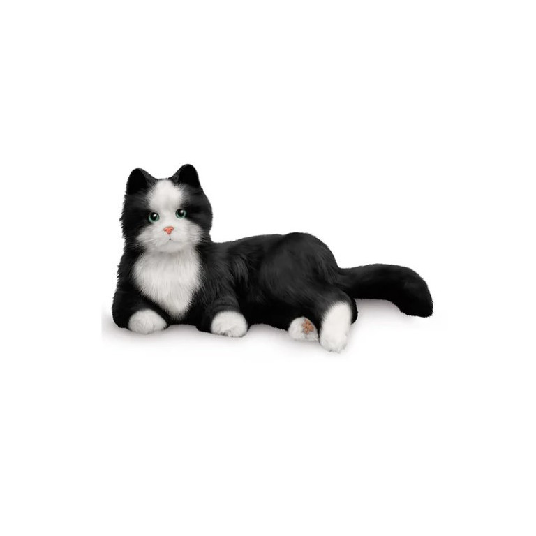Terapikatt 6-pack