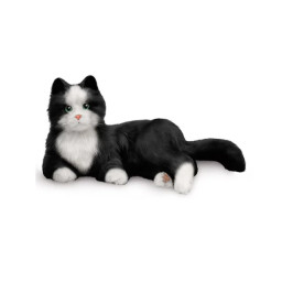 Terapikatt 6-pack