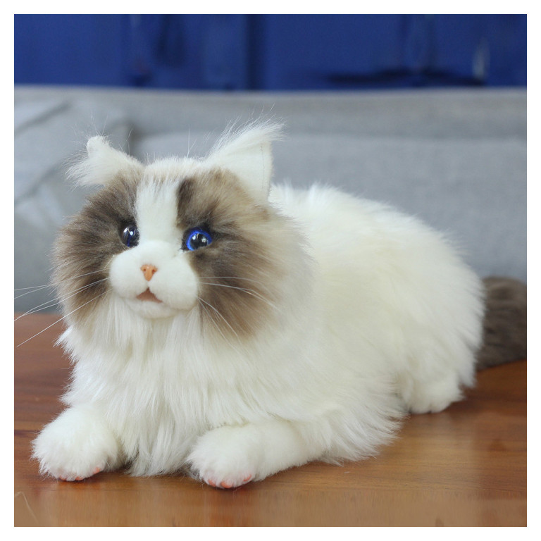 Metacat 3-pack