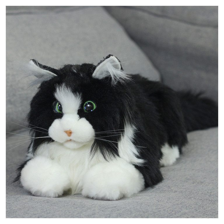 Metacat 3-pack