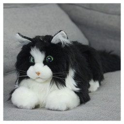 Metacat 3-pack