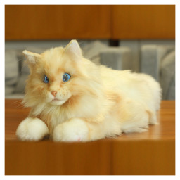 Metacat 3-pack