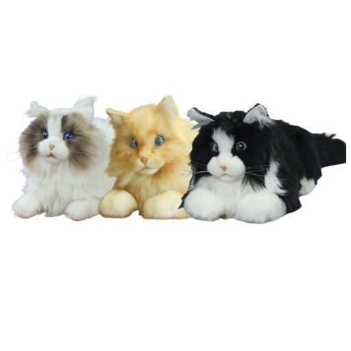 Metacat 3-pack