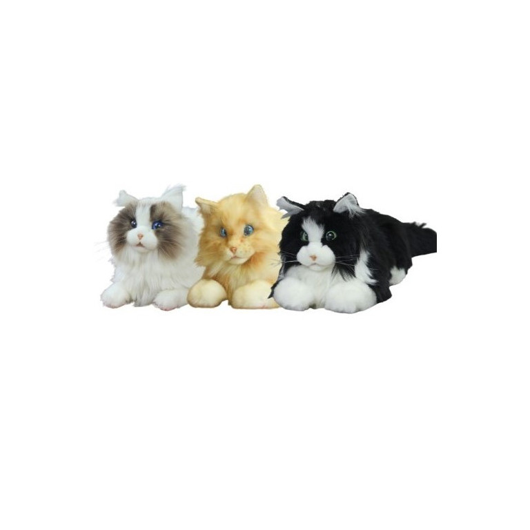 Metacat 3-pack