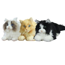 Metacat 3-pack