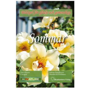 Dvd-Film; Sommar
